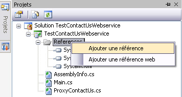 appel-webservice-wsdl-exe-4
