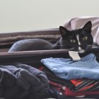 4549237434_fff526a0a3_o