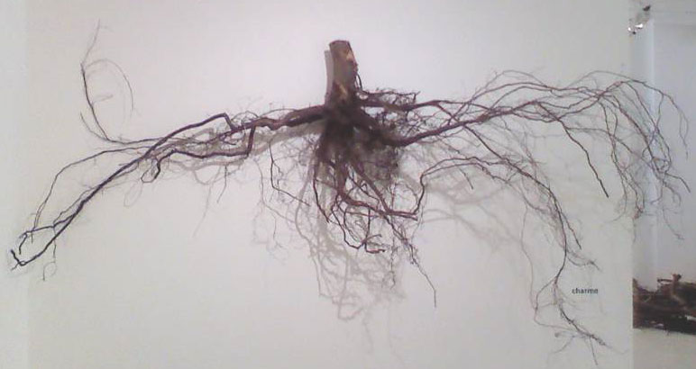 Les racines ont des feuilles Pascal Cribier