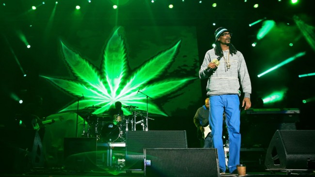 Snoop Dogg lève des fonds pour investir dans une Startup de Marijuana