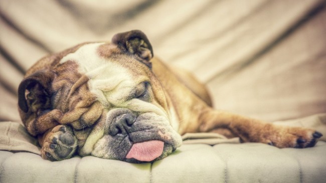 5 astuces faciles pour maximiser vos siestes